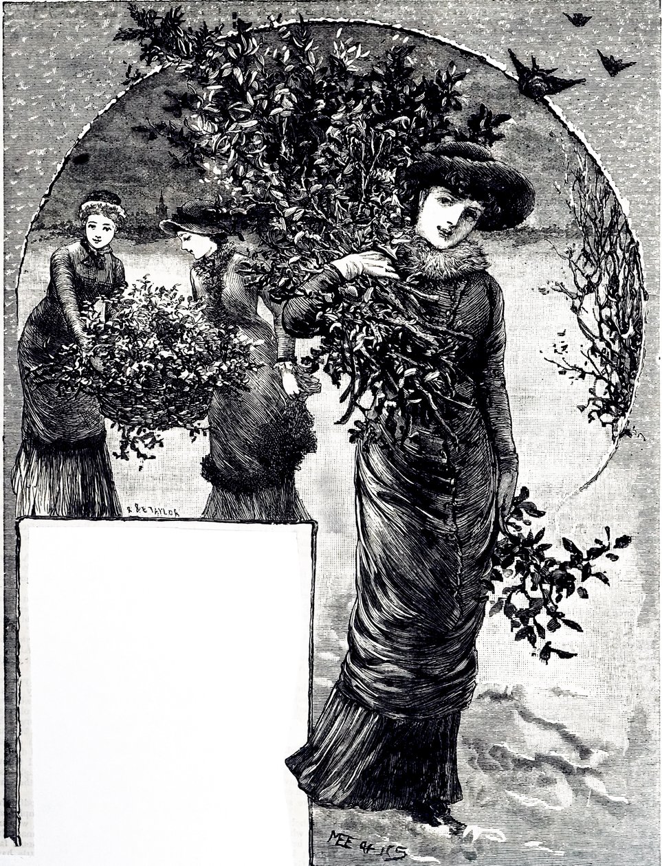 En gravering som viser samlingen av kristtorn og eviggrønn til julepynt. Illustrert av Mary Ellen Edwards (1838-1934), en engelsk kunstner og illustratør av barnebøker av Mary Ellen Edwards