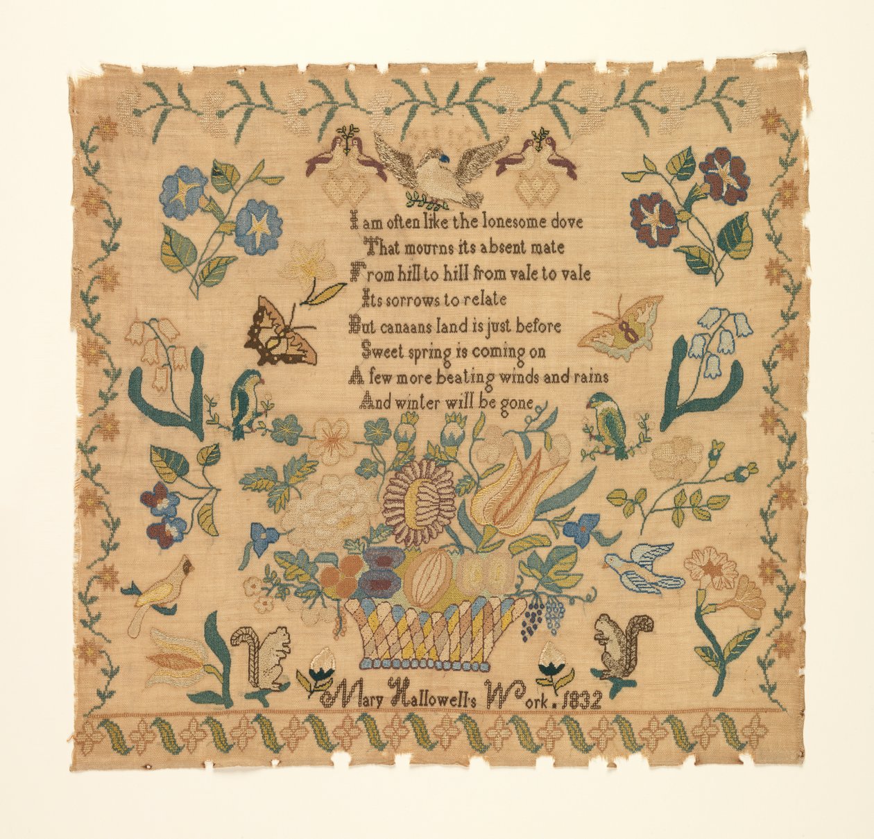 Prøvetaker av Mary Hallowell