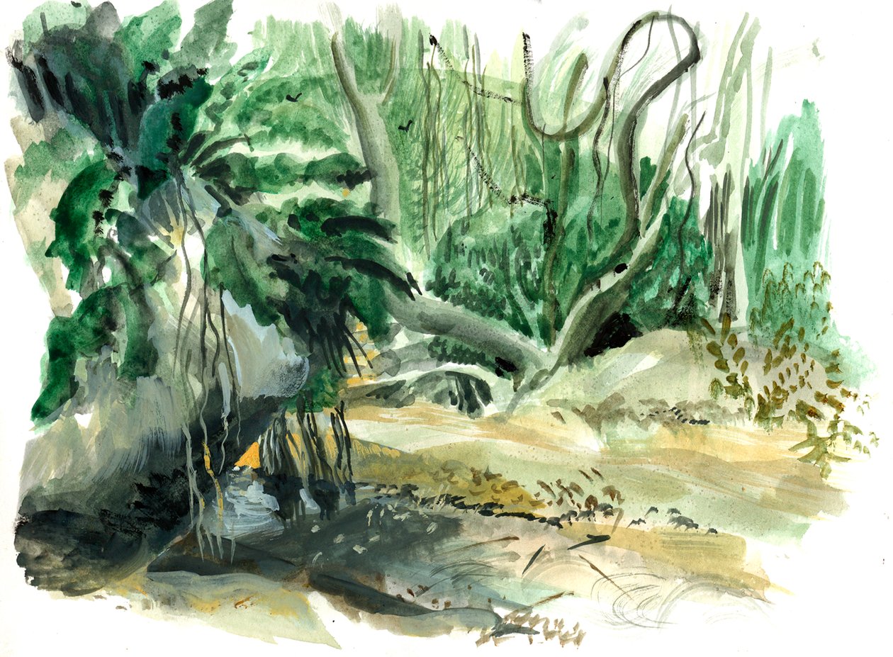 Jungel: Tayrona, Colombia av Mary Kuper