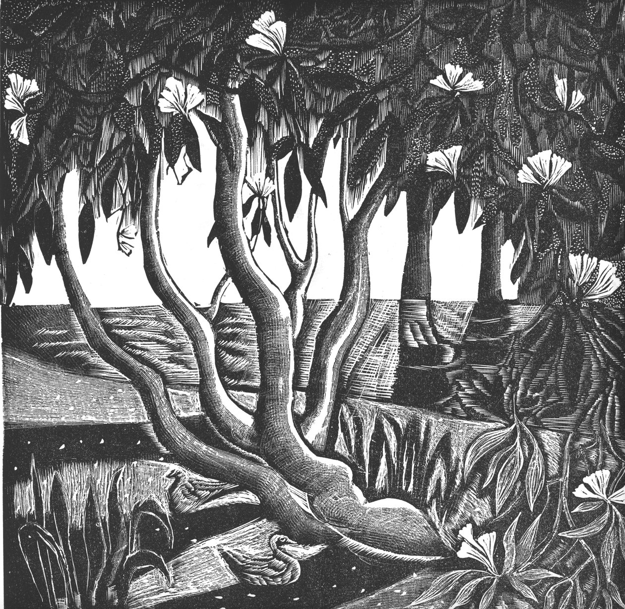 Rhododendrons, Holland Park, 2006 (vinylgravering) av Mary Kuper