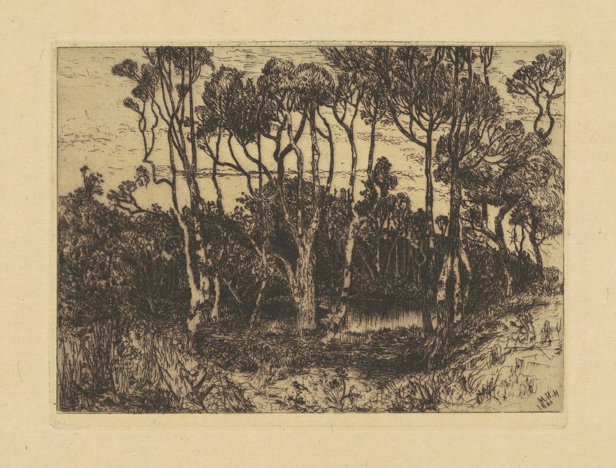 Ensomhet av Mary Nimmo Moran