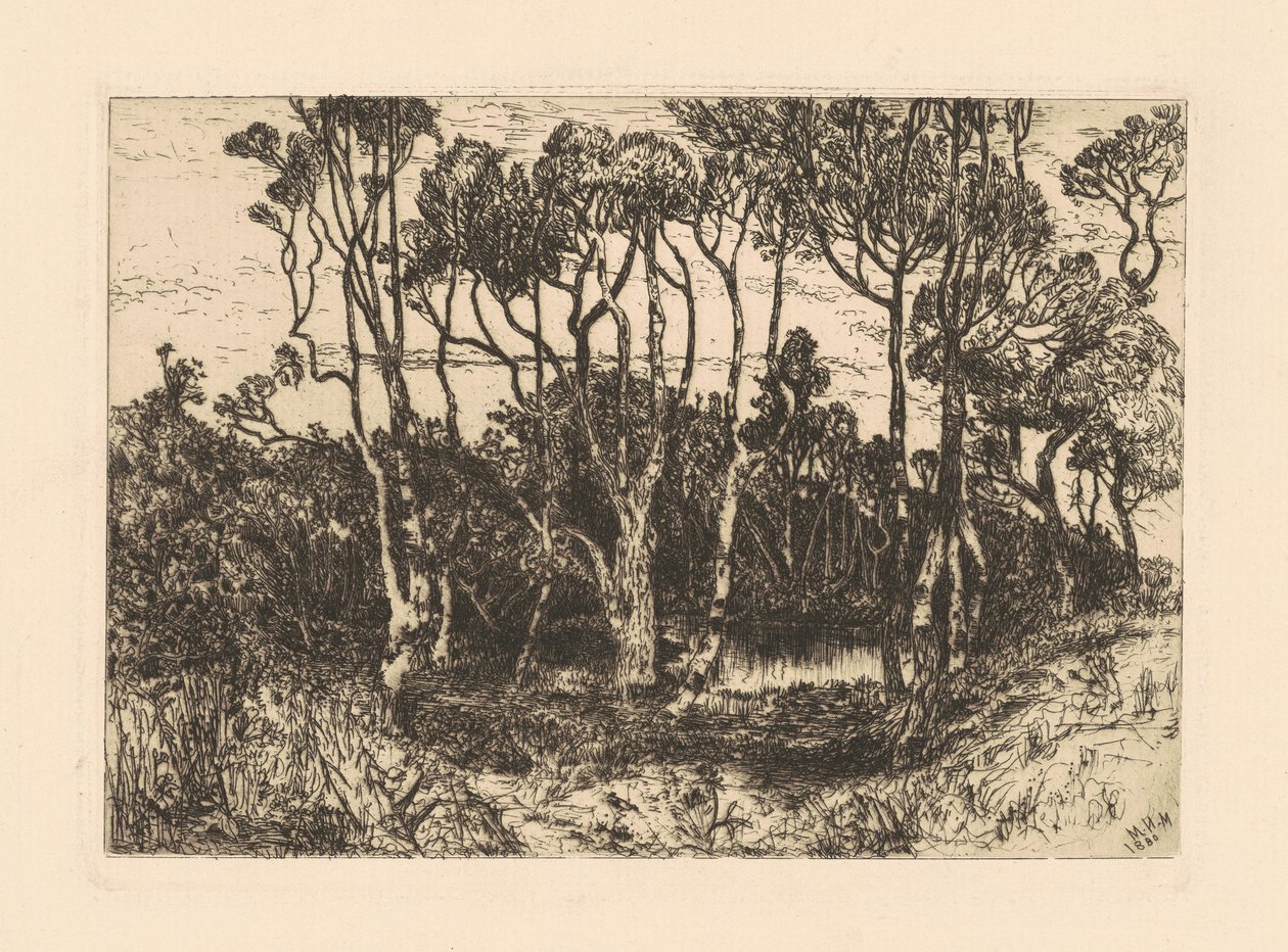 Ensomhet av Mary Nimmo Moran