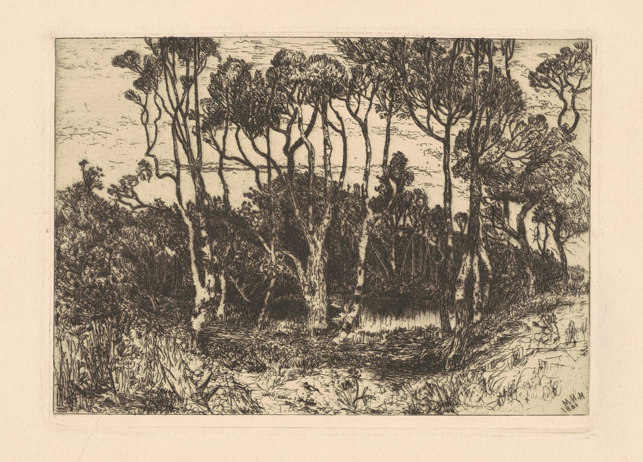 Ensomhet av Mary Nimmo Moran
