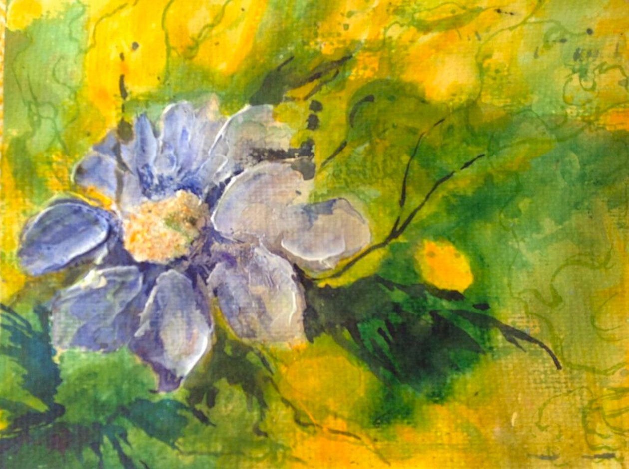 klematis i kveldssolen av Mary Smith