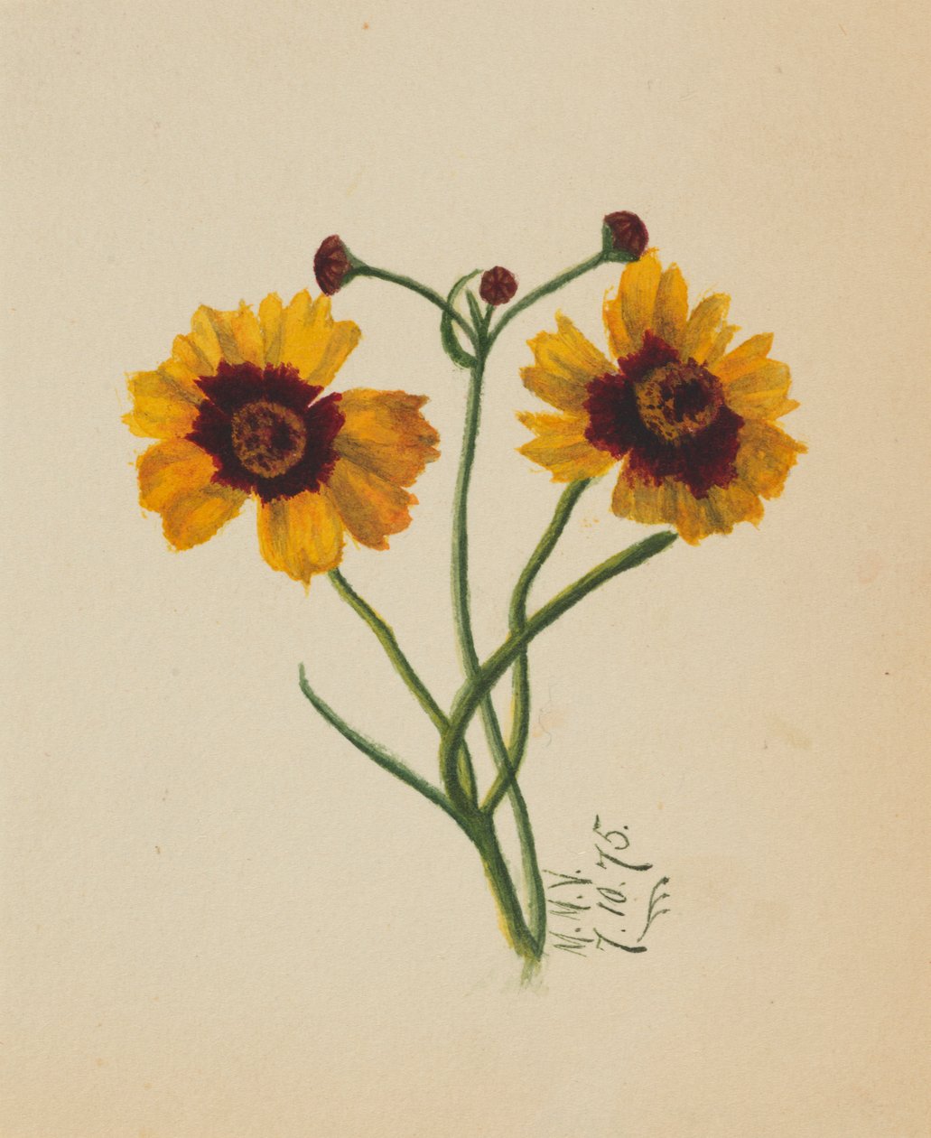  av Mary Vaux Walcott