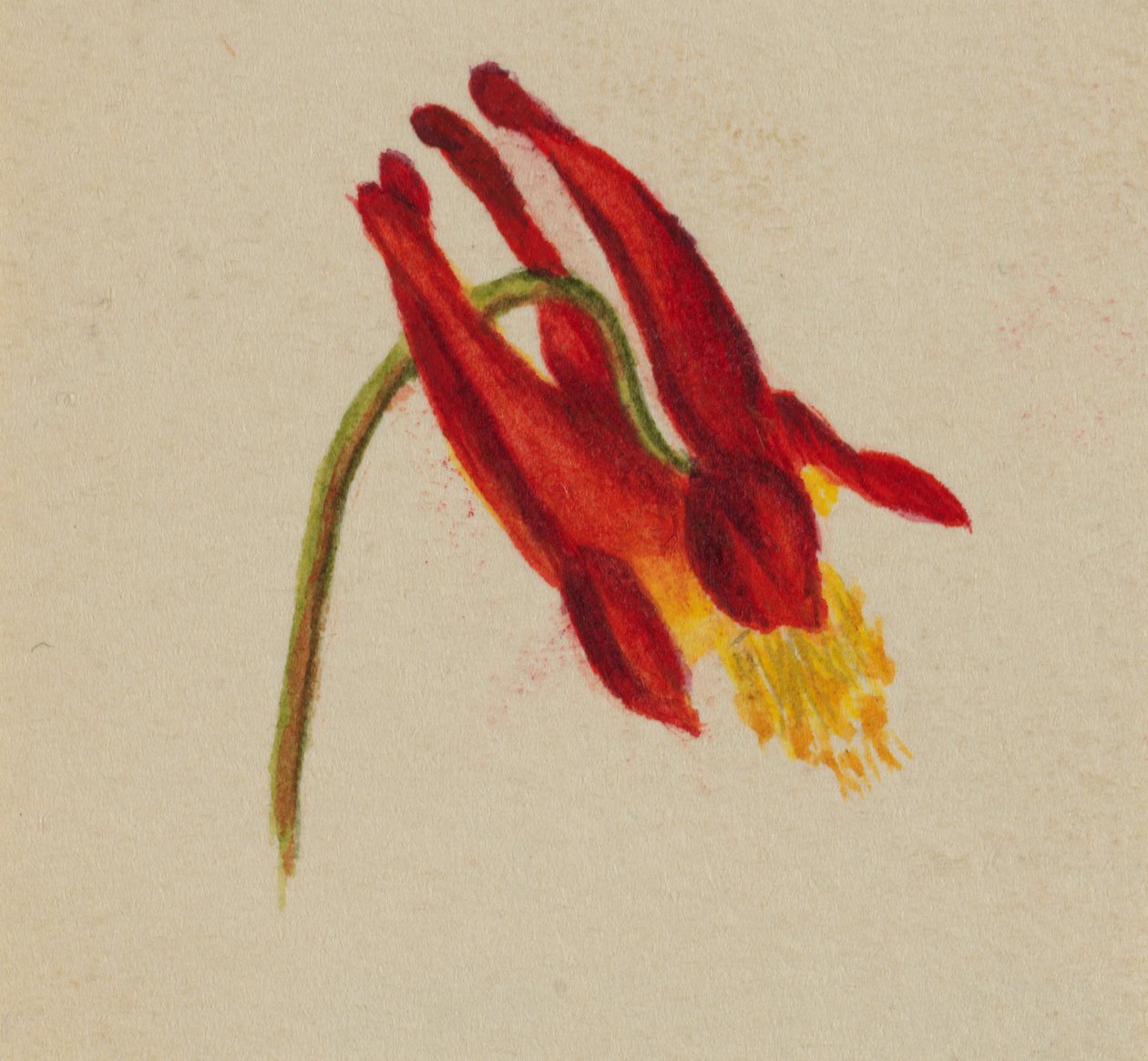 av Mary Vaux Walcott