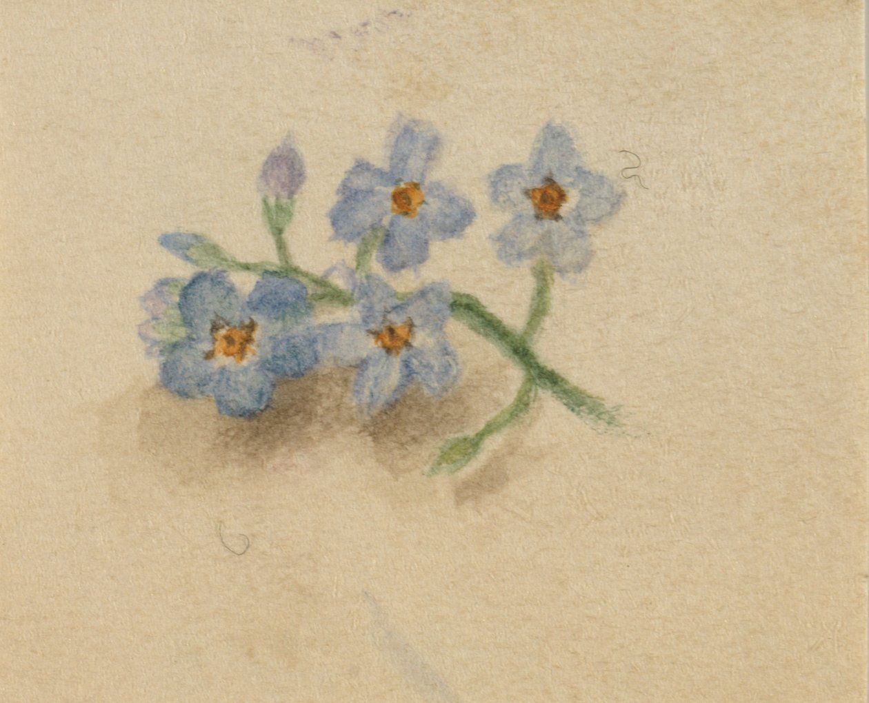 av Mary Vaux Walcott