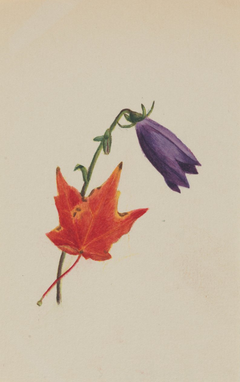  av Mary Vaux Walcott