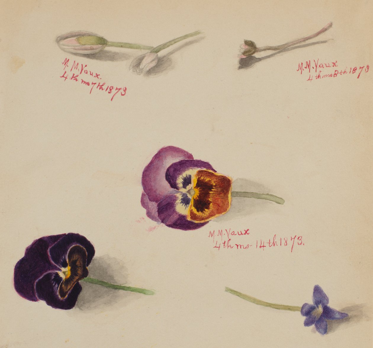  av Mary Vaux Walcott