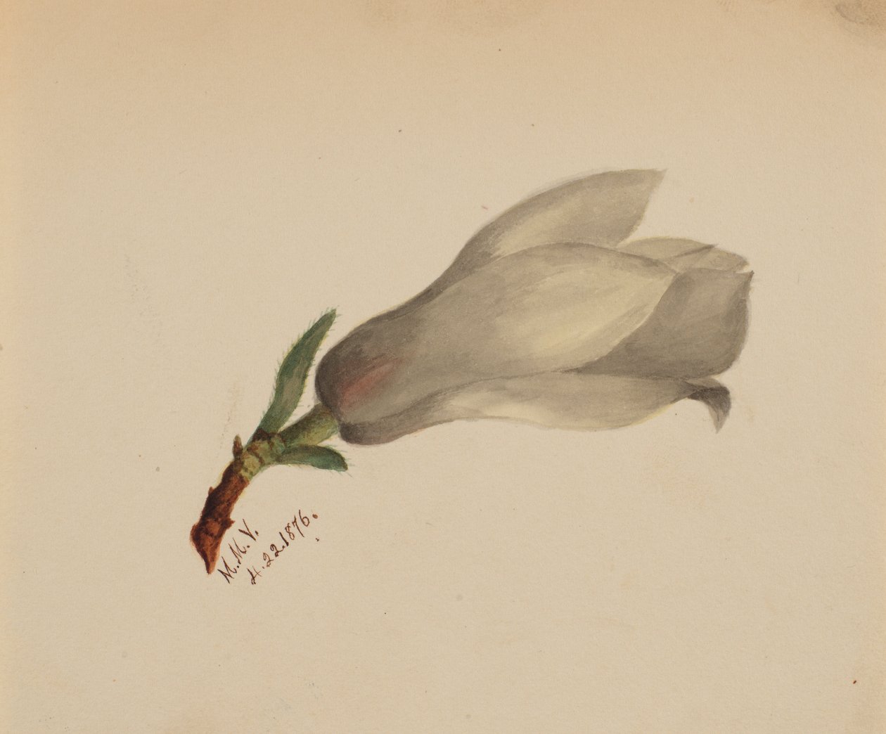  av Mary Vaux Walcott