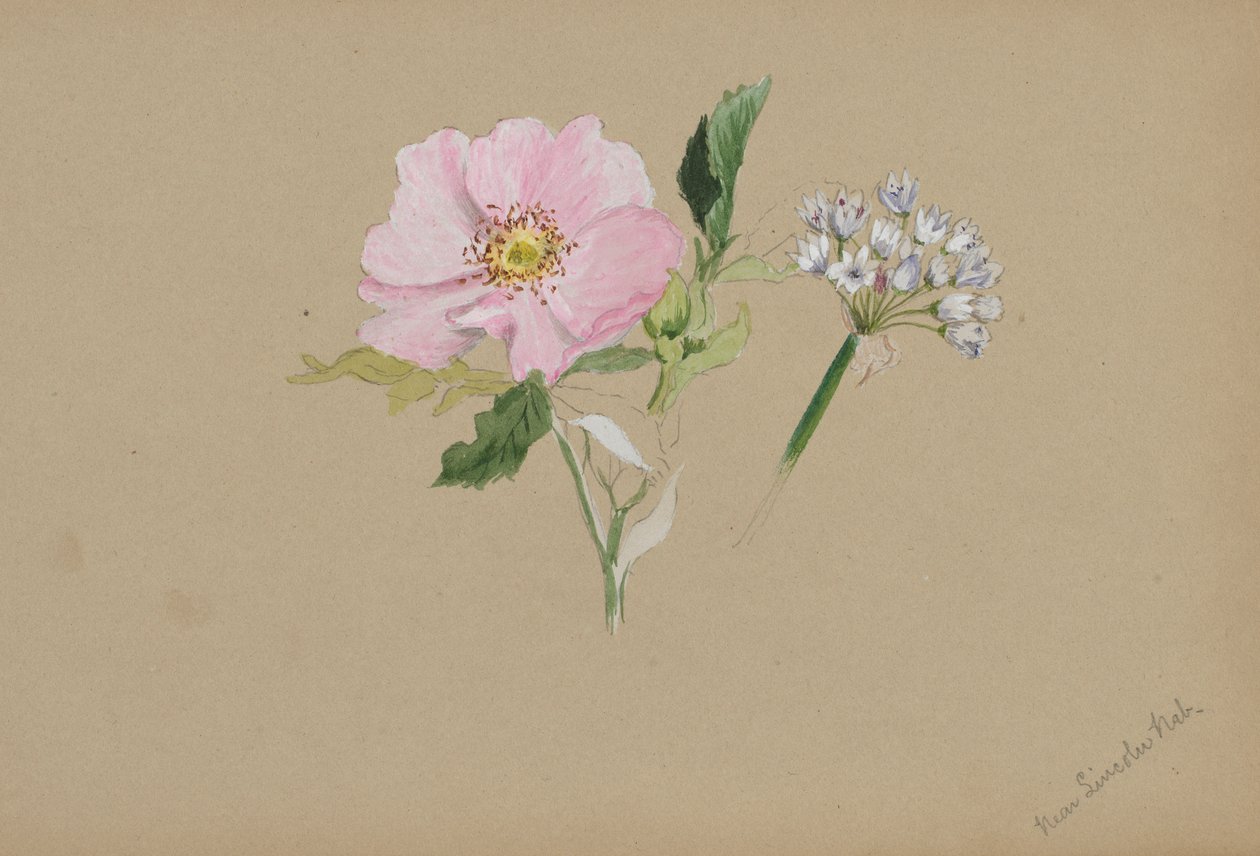  av Mary Vaux Walcott