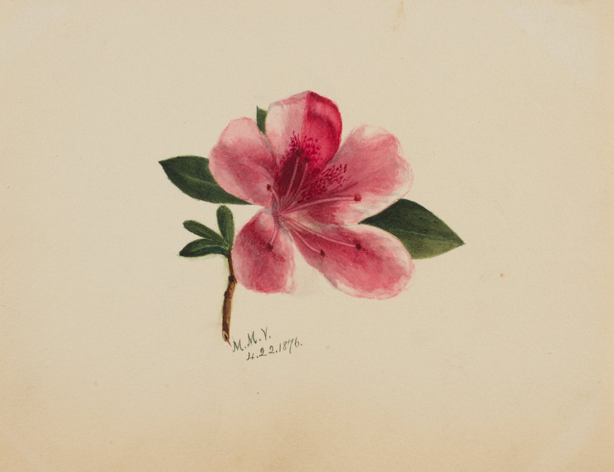 av Mary Vaux Walcott