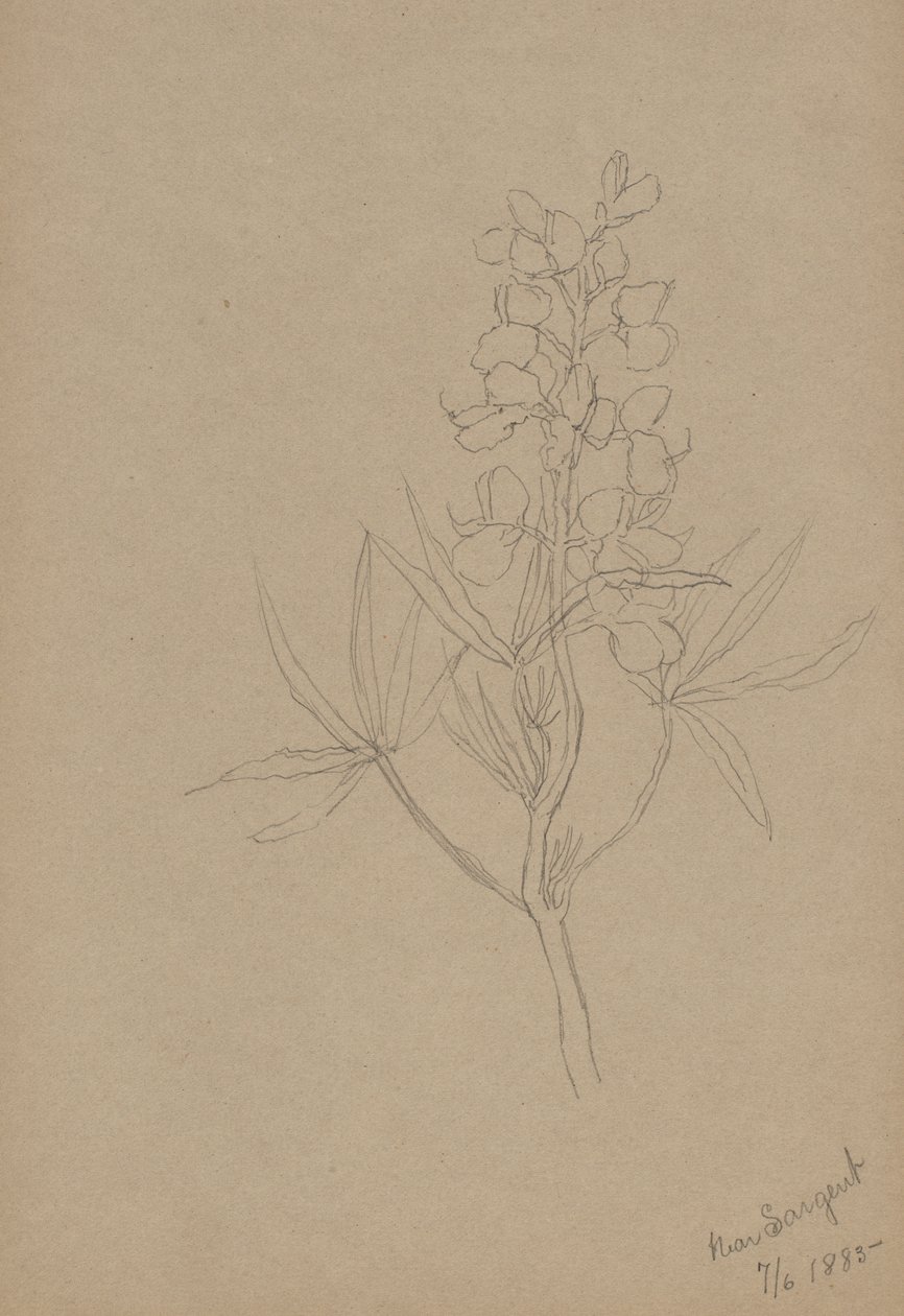  av Mary Vaux Walcott