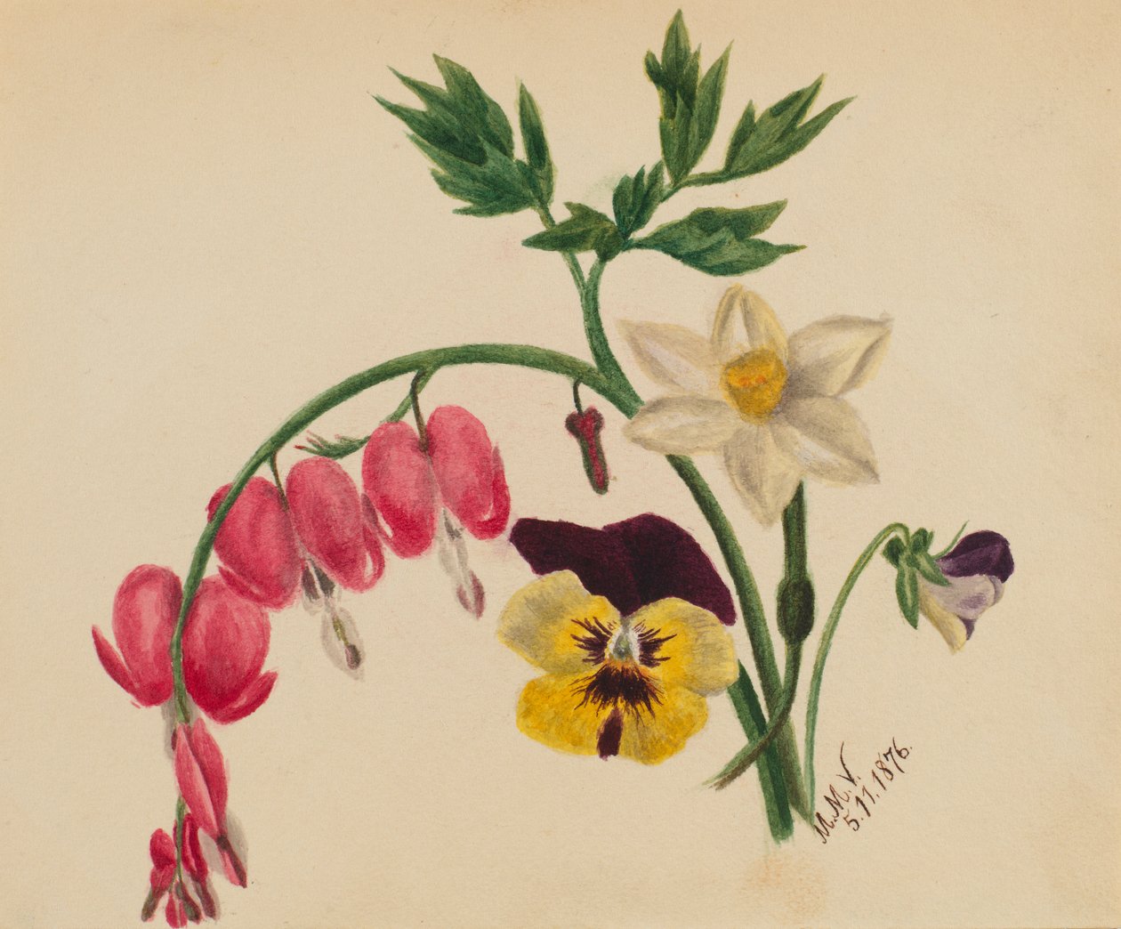  av Mary Vaux Walcott