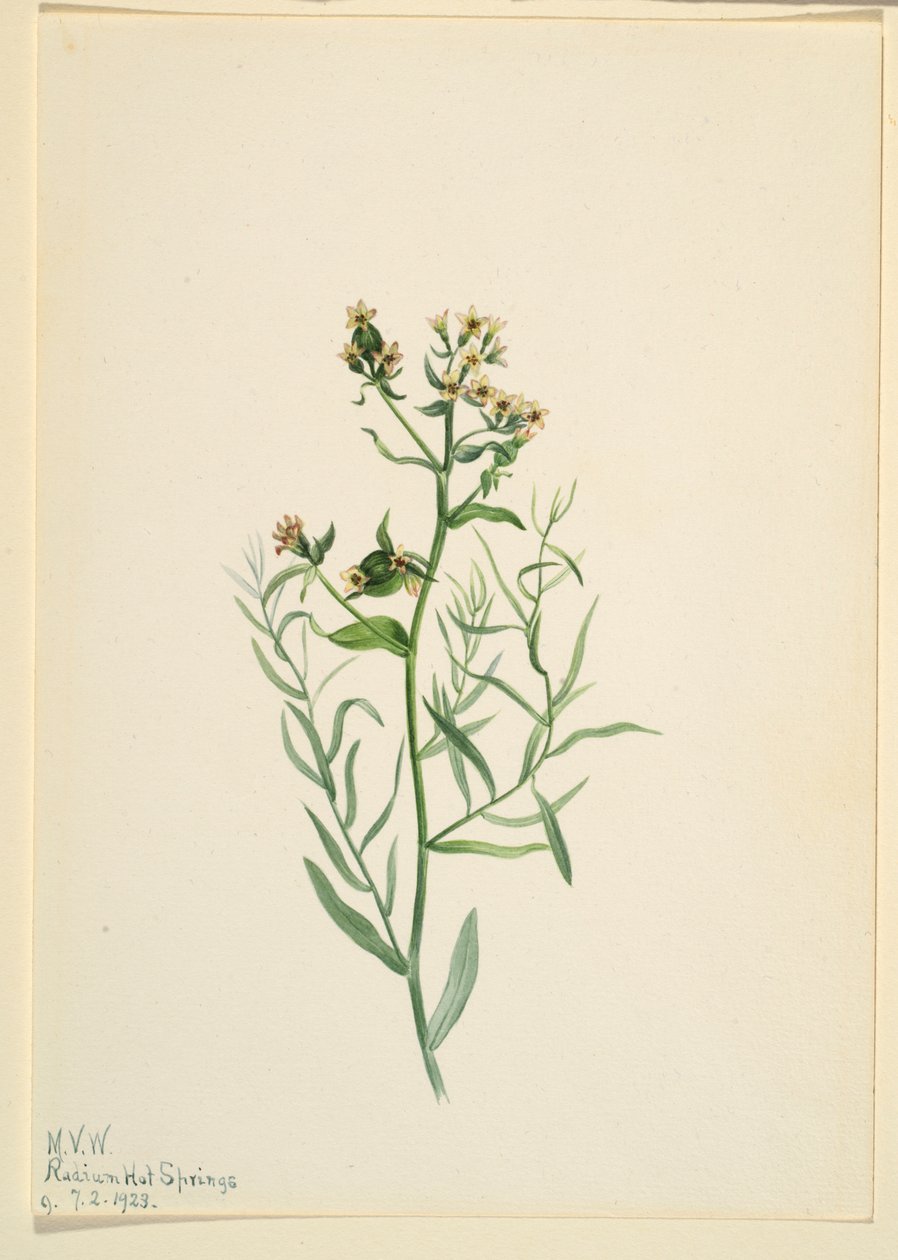  av Mary Vaux Walcott