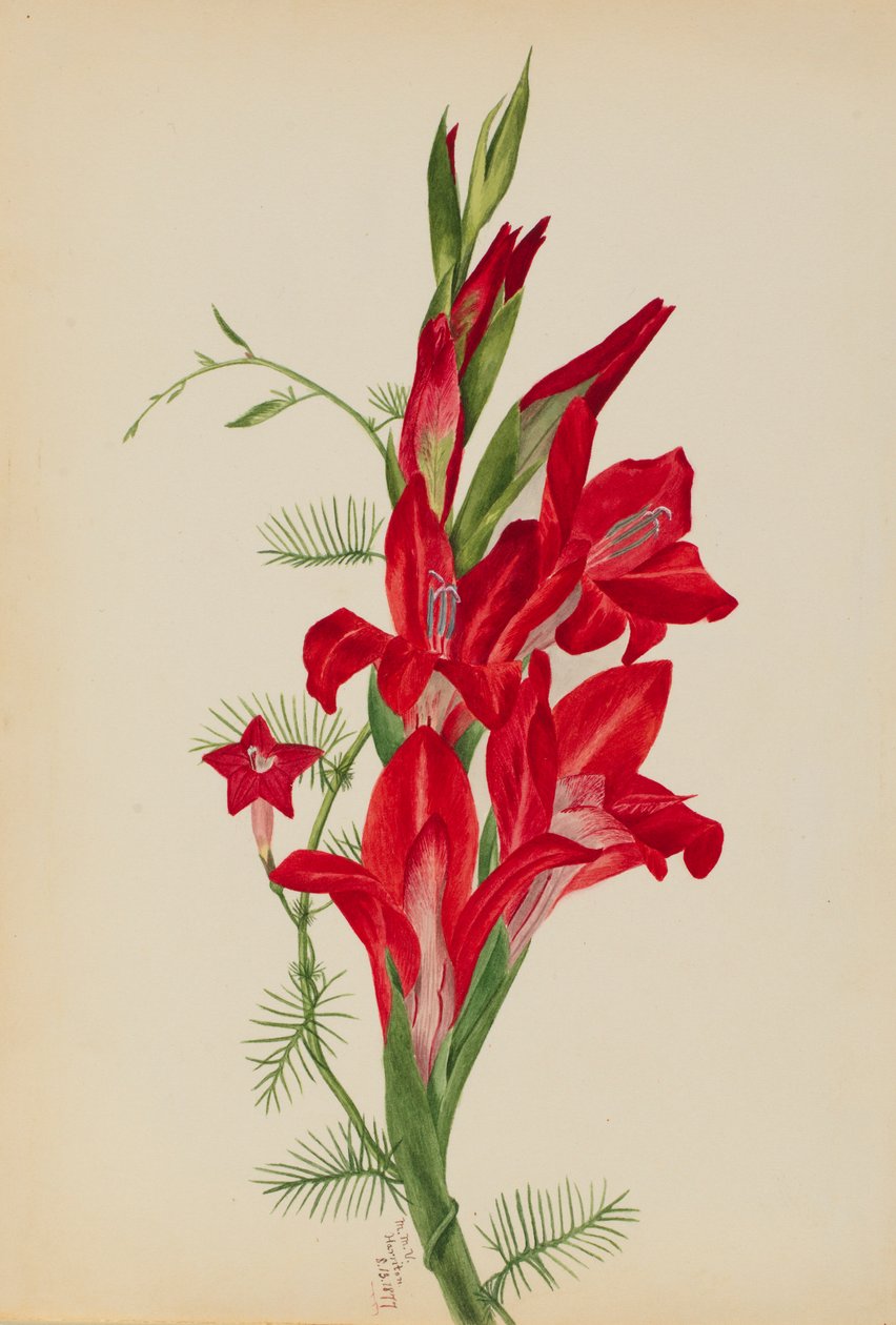  av Mary Vaux Walcott