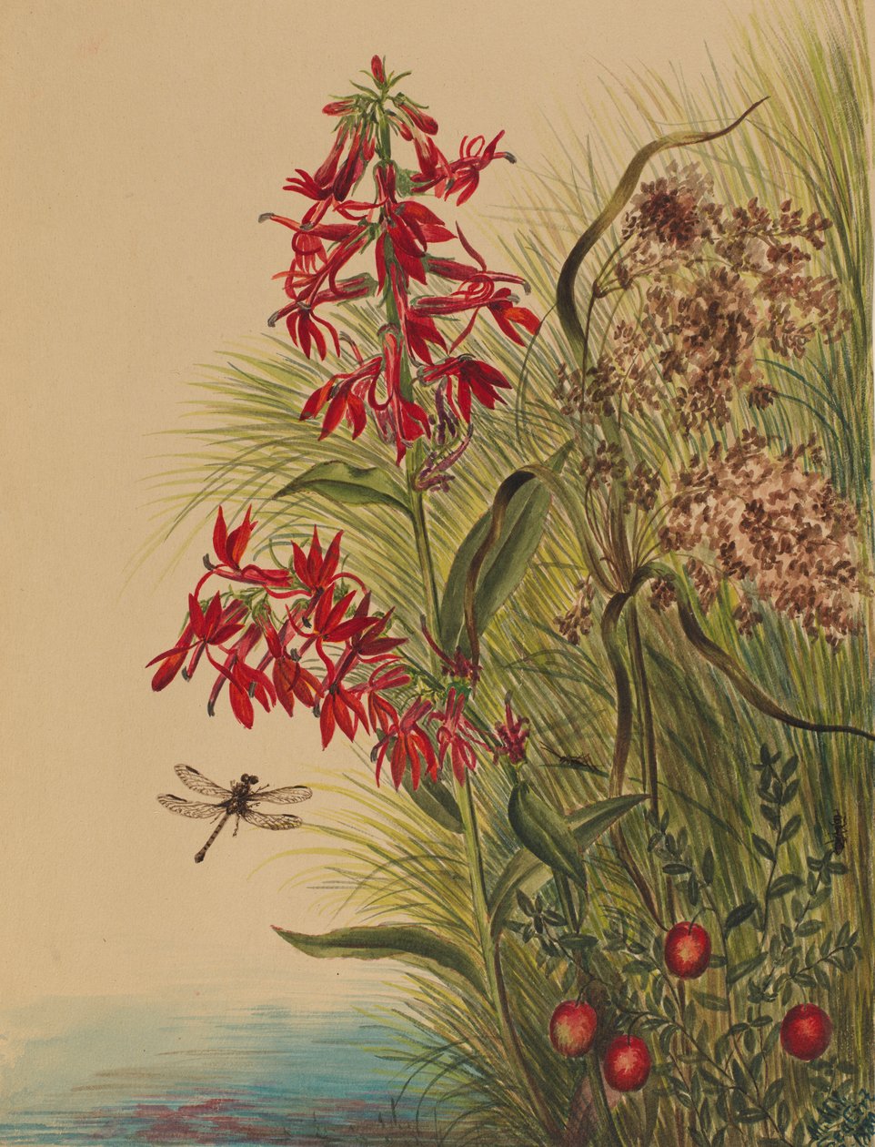  av Mary Vaux Walcott