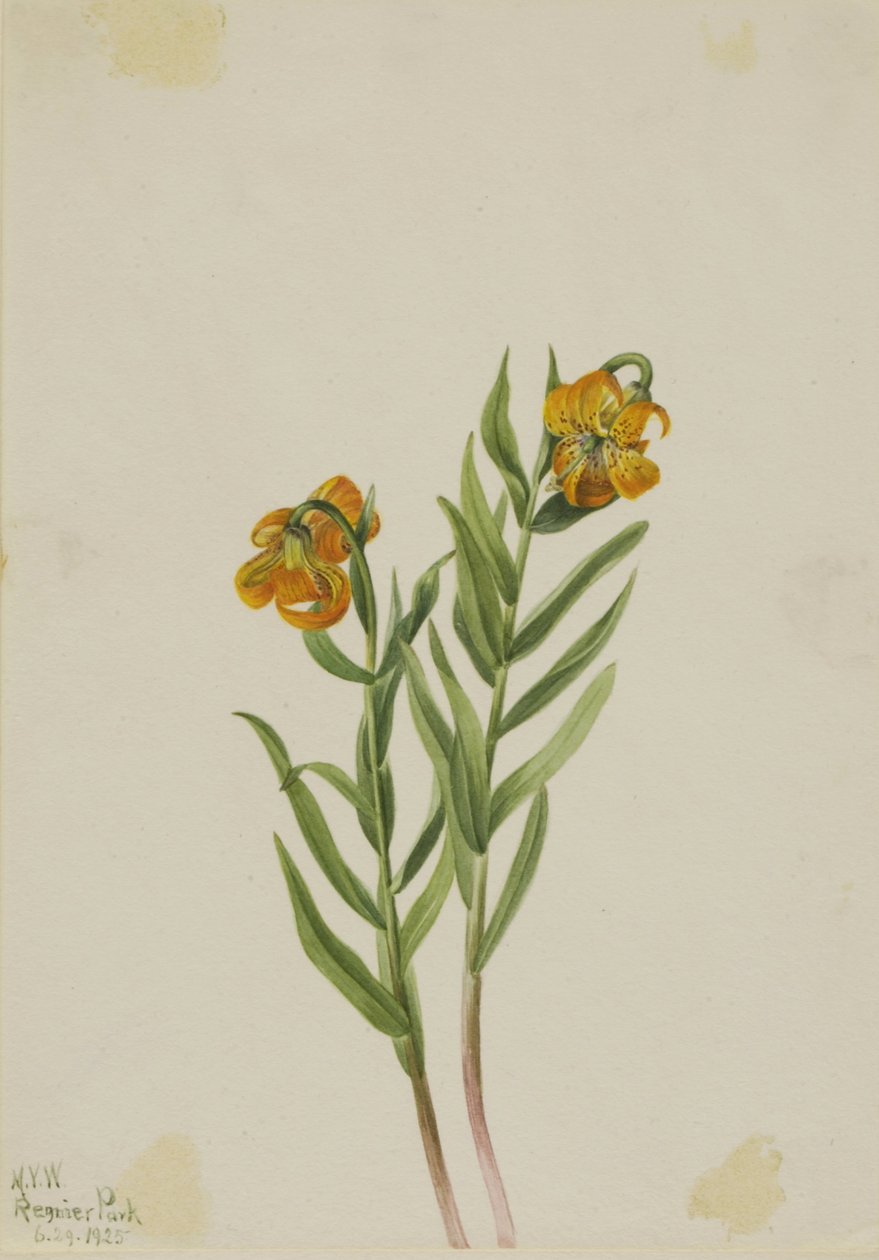  av Mary Vaux Walcott