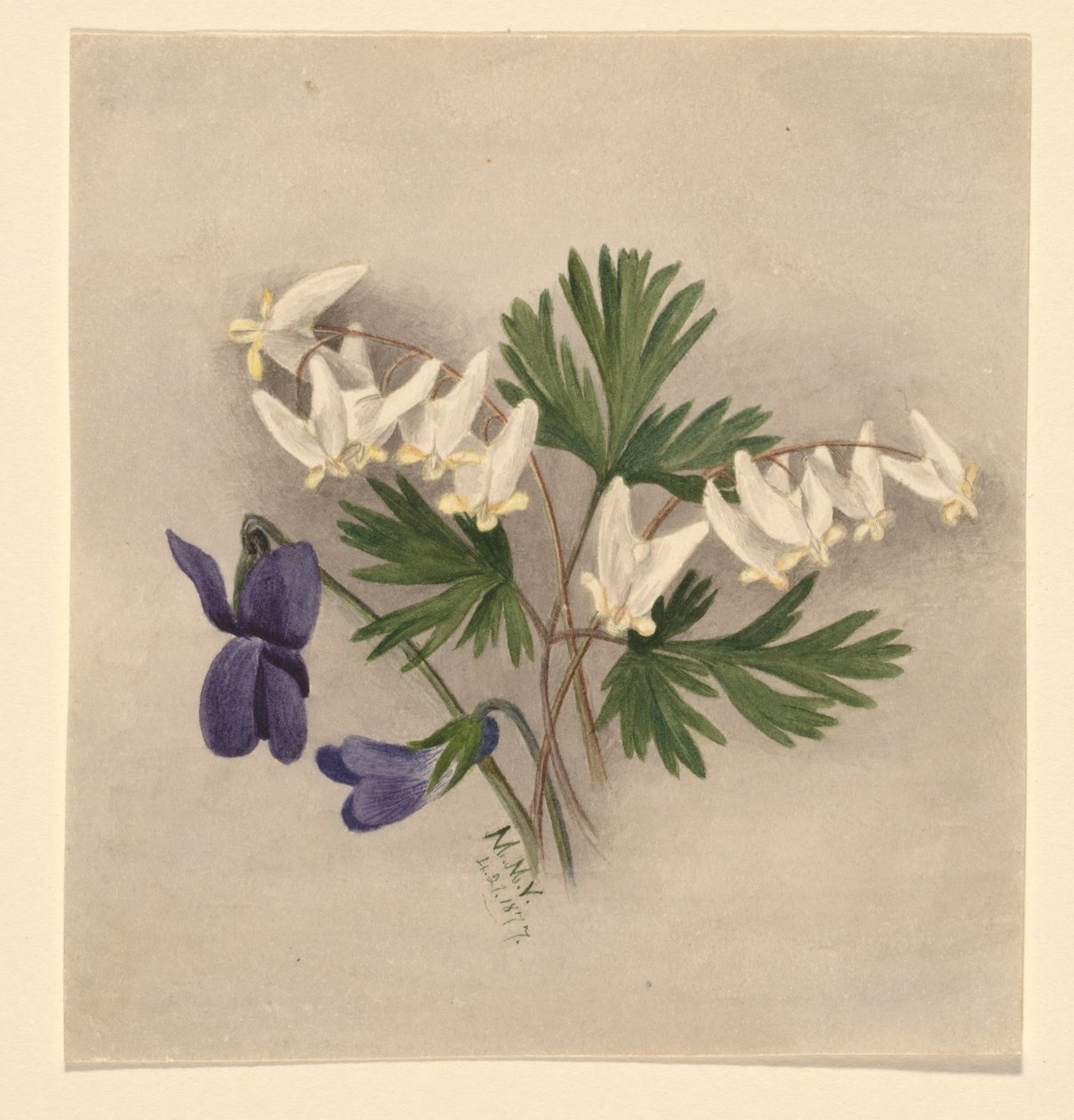  av Mary Vaux Walcott