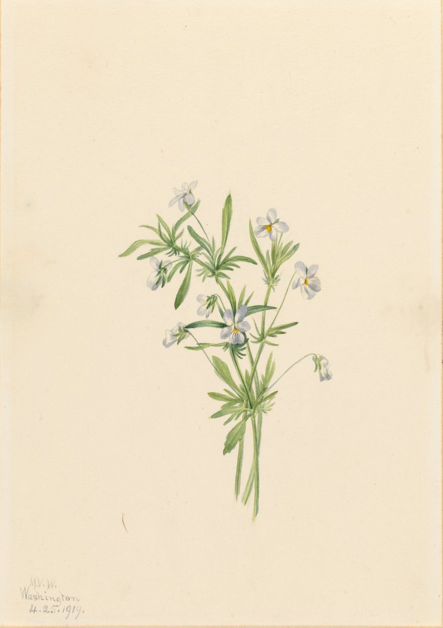  av Mary Vaux Walcott