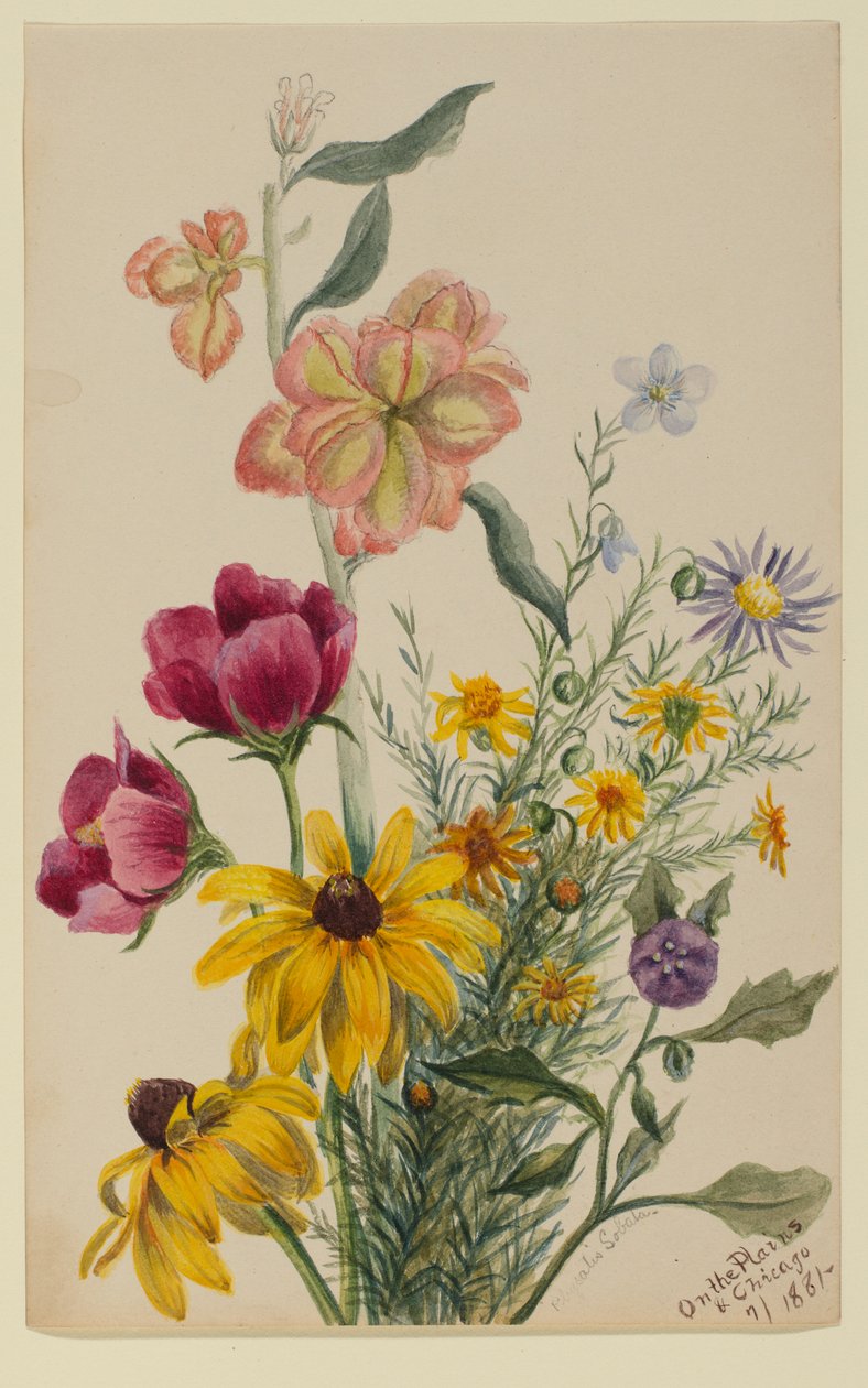 av Mary Vaux Walcott