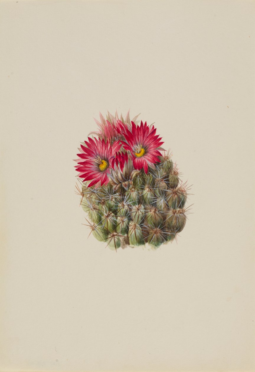  av Mary Vaux Walcott