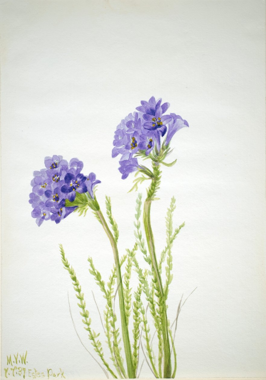  av Mary Vaux Walcott