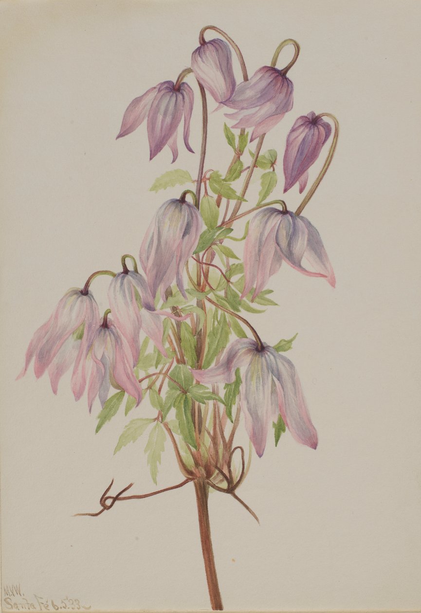  av Mary Vaux Walcott