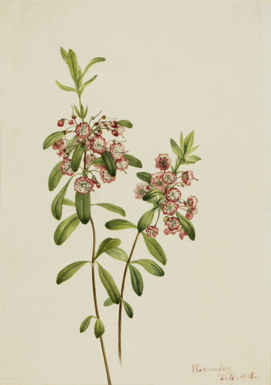  av Mary Vaux Walcott