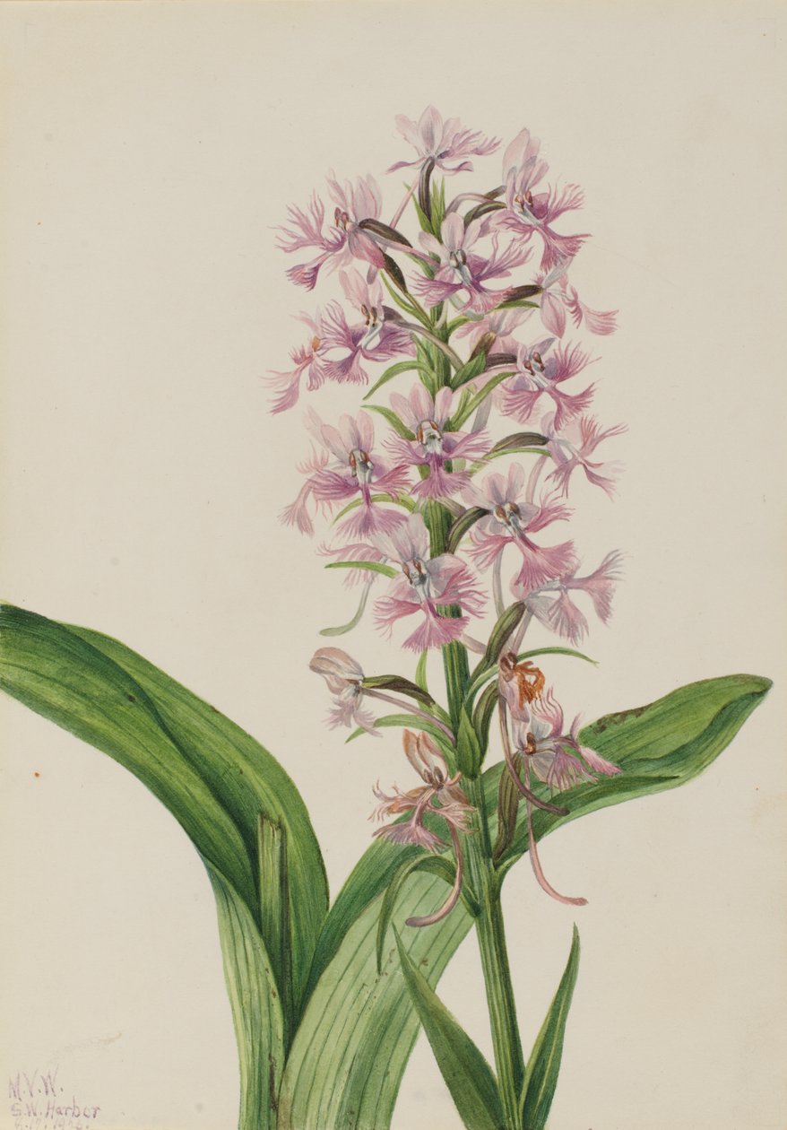 av Mary Vaux Walcott
