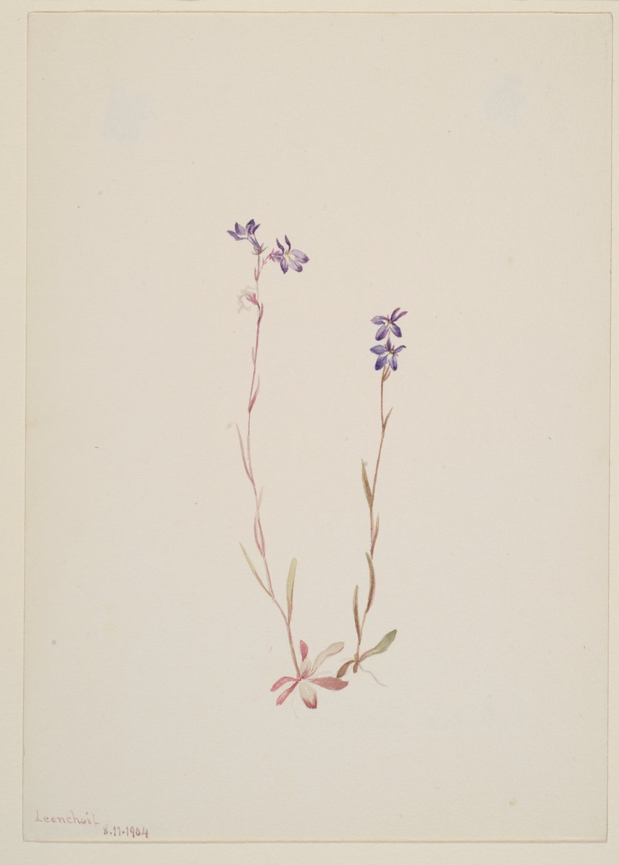  av Mary Vaux Walcott