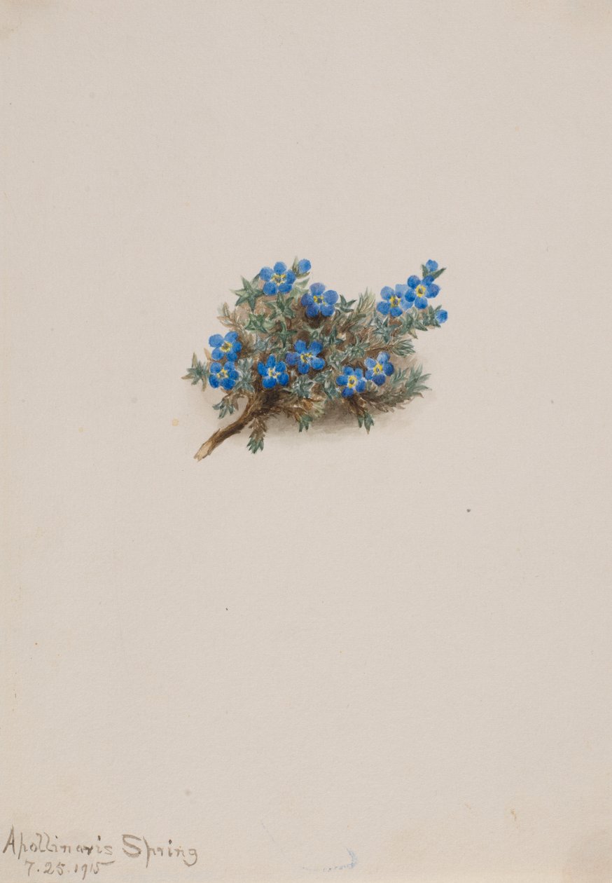  av Mary Vaux Walcott