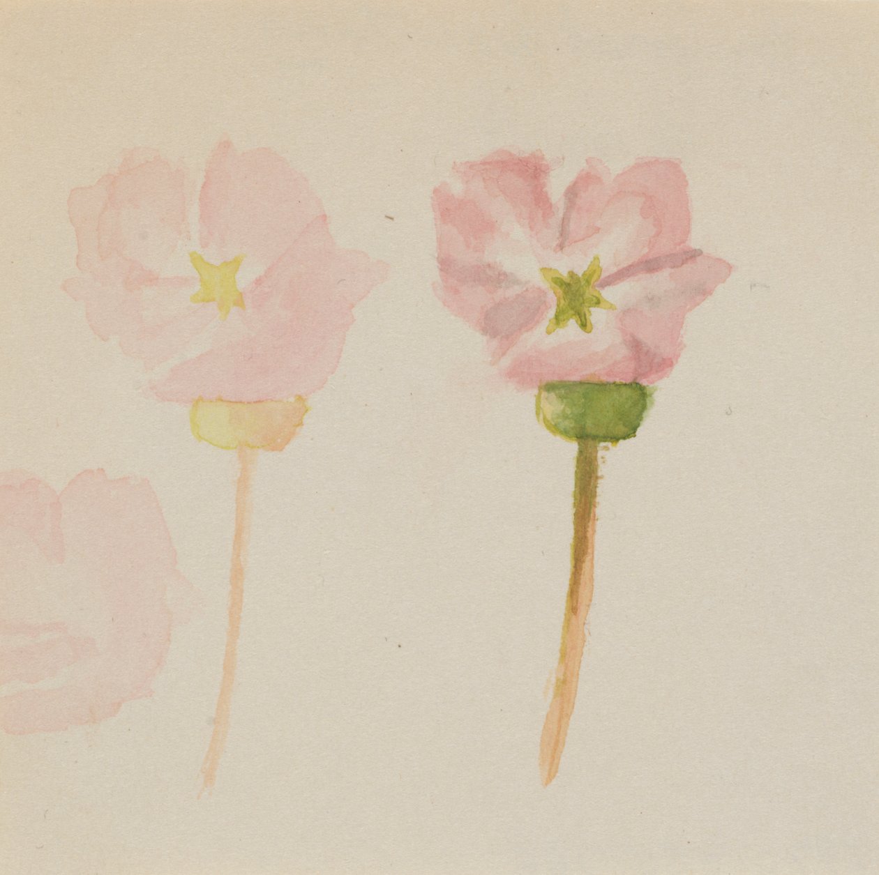  av Mary Vaux Walcott