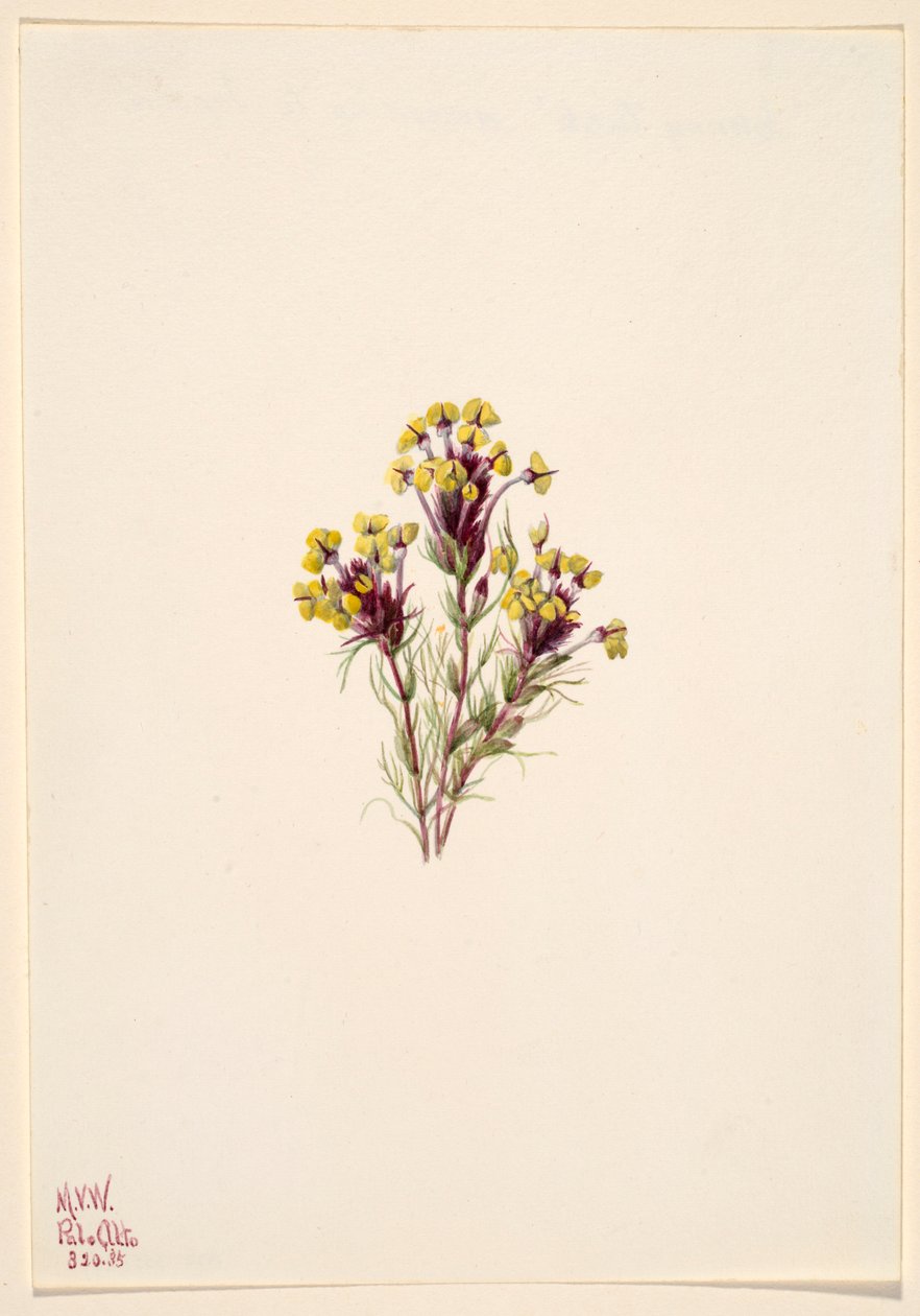  av Mary Vaux Walcott