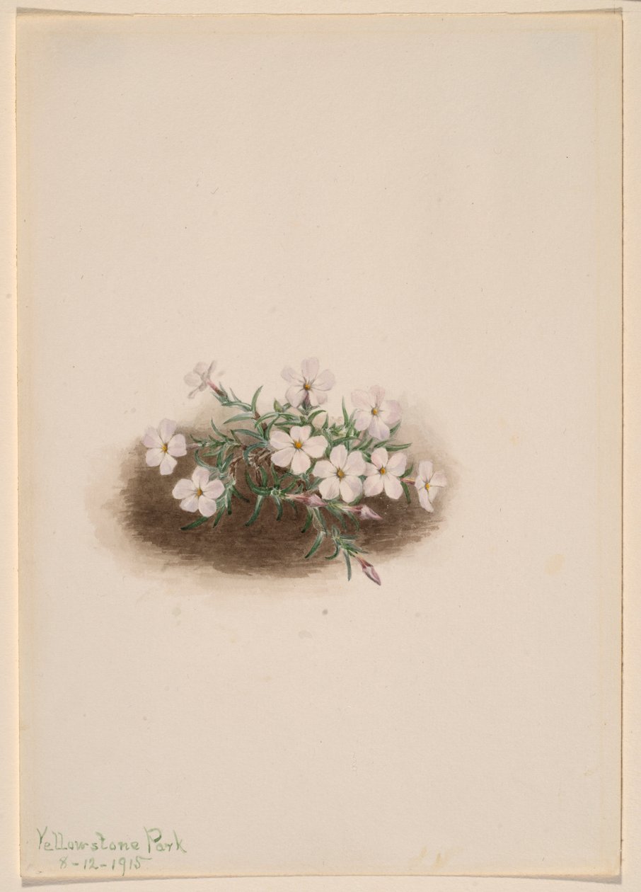  av Mary Vaux Walcott