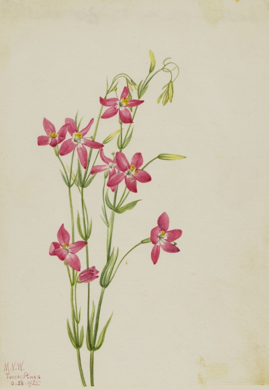  av Mary Vaux Walcott
