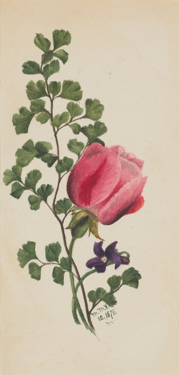  av Mary Vaux Walcott