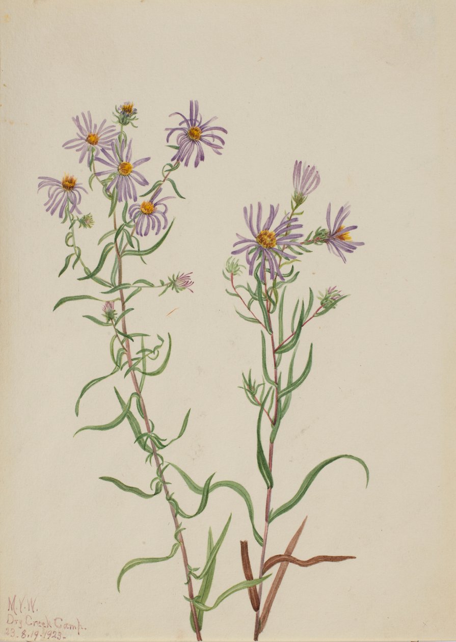  av Mary Vaux Walcott