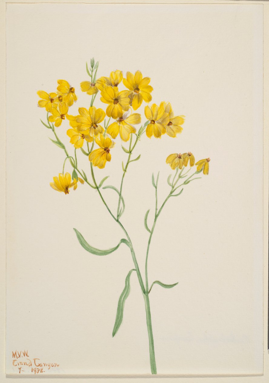  av Mary Vaux Walcott