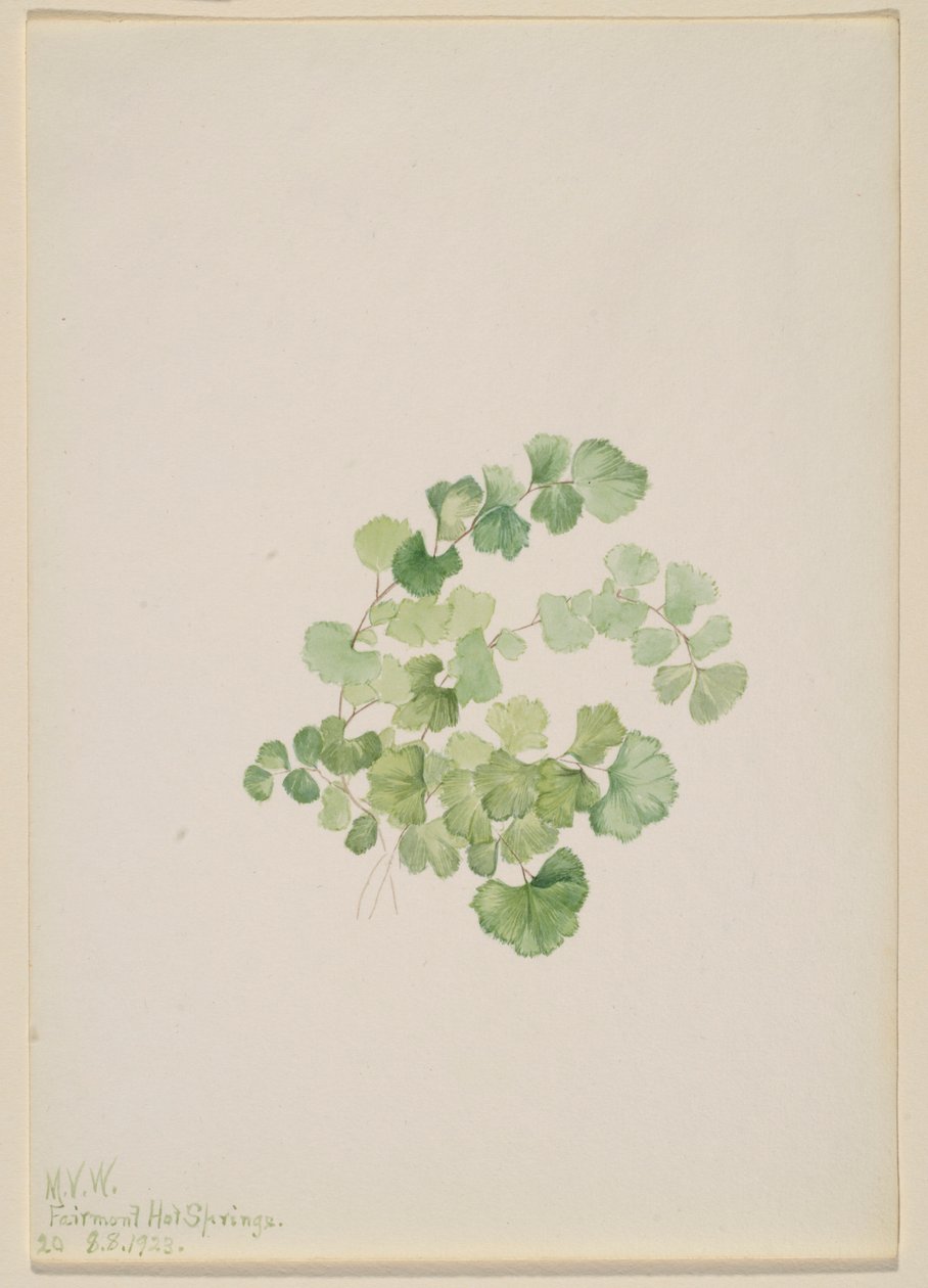  av Mary Vaux Walcott