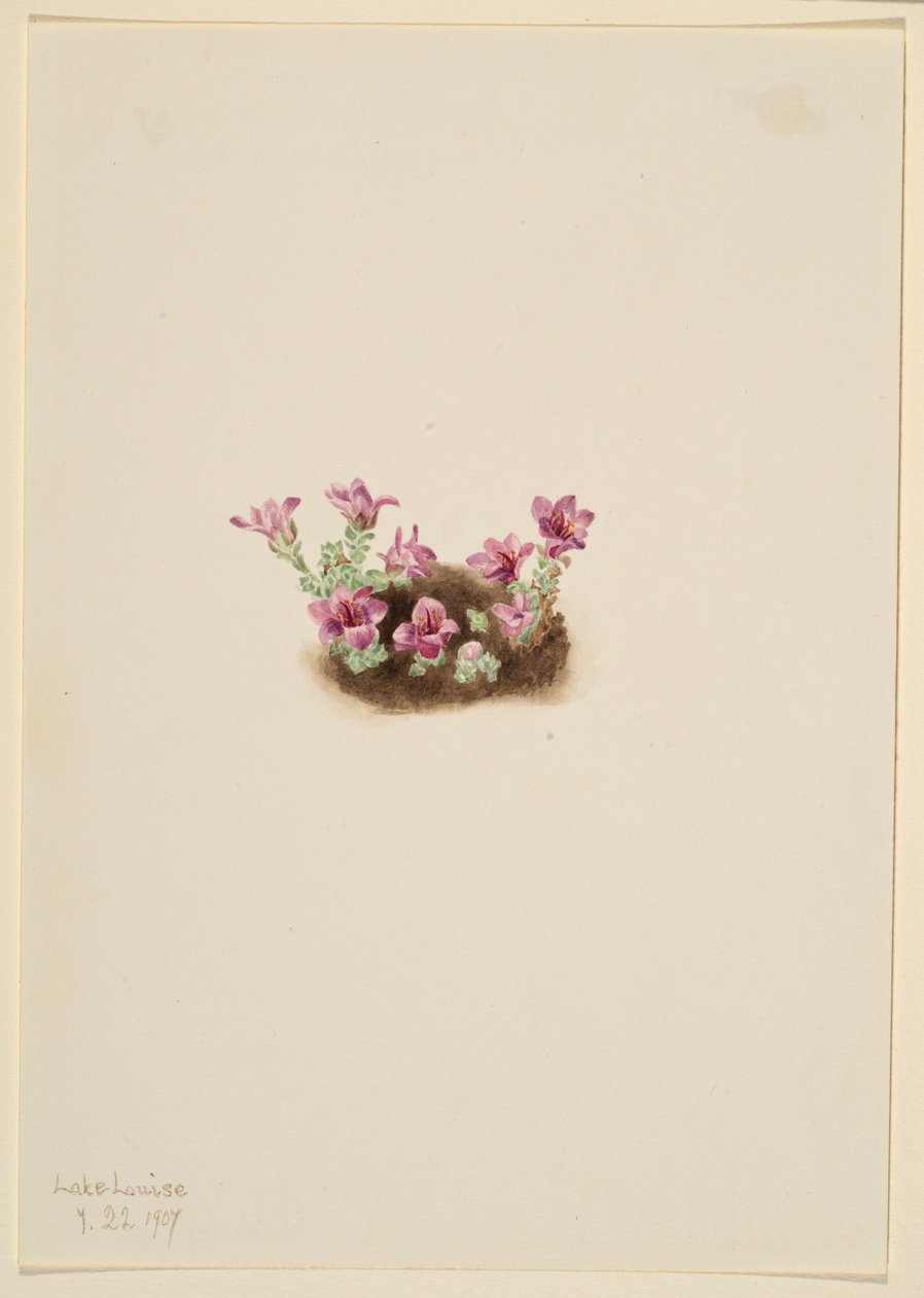 av Mary Vaux Walcott