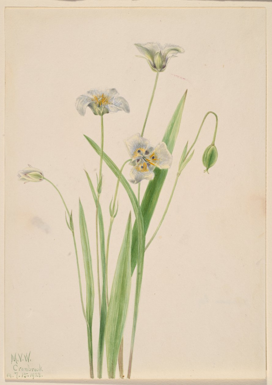  av Mary Vaux Walcott