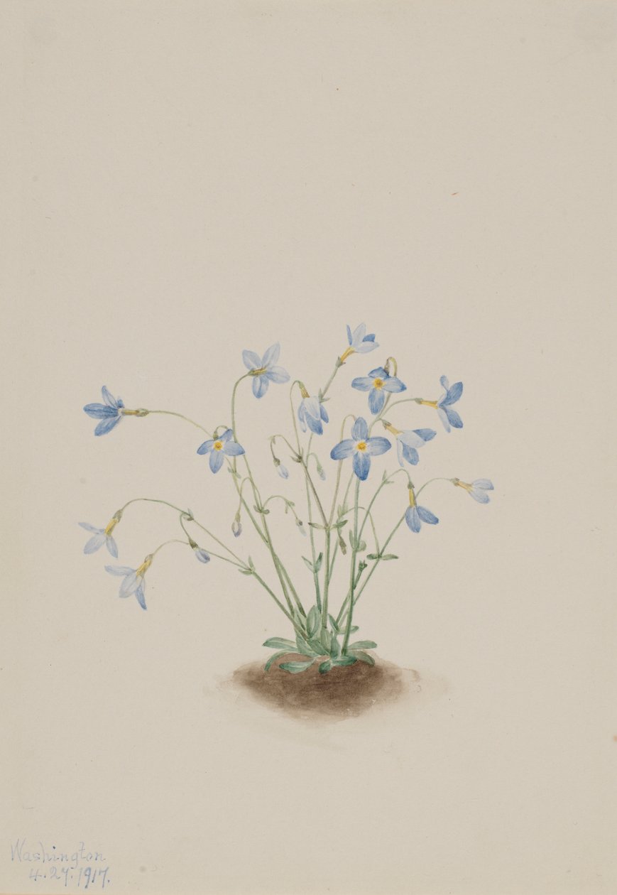  av Mary Vaux Walcott