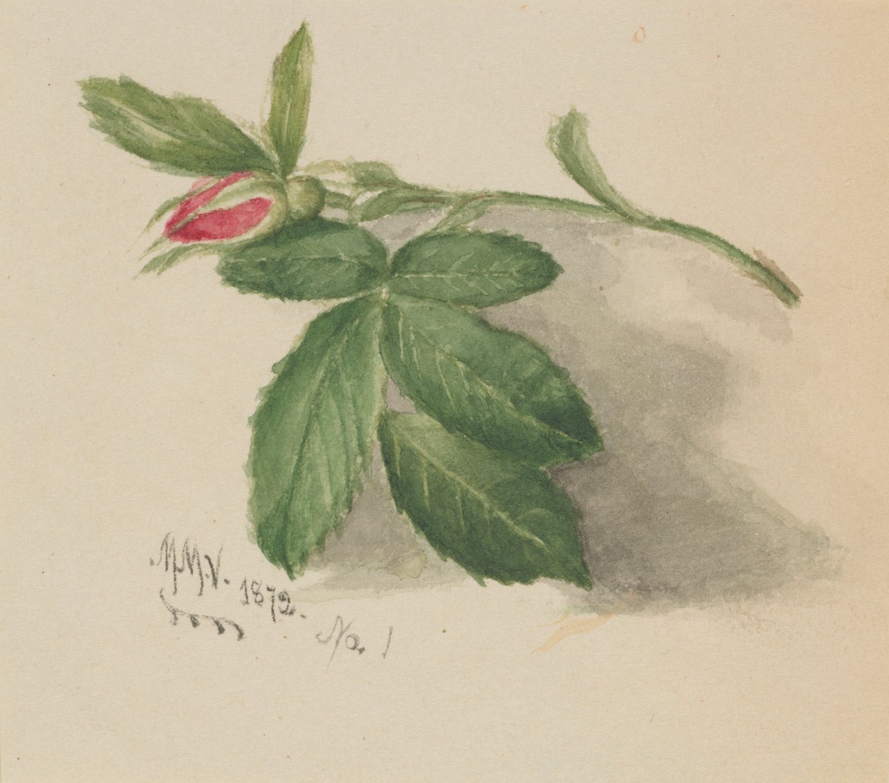  av Mary Vaux Walcott