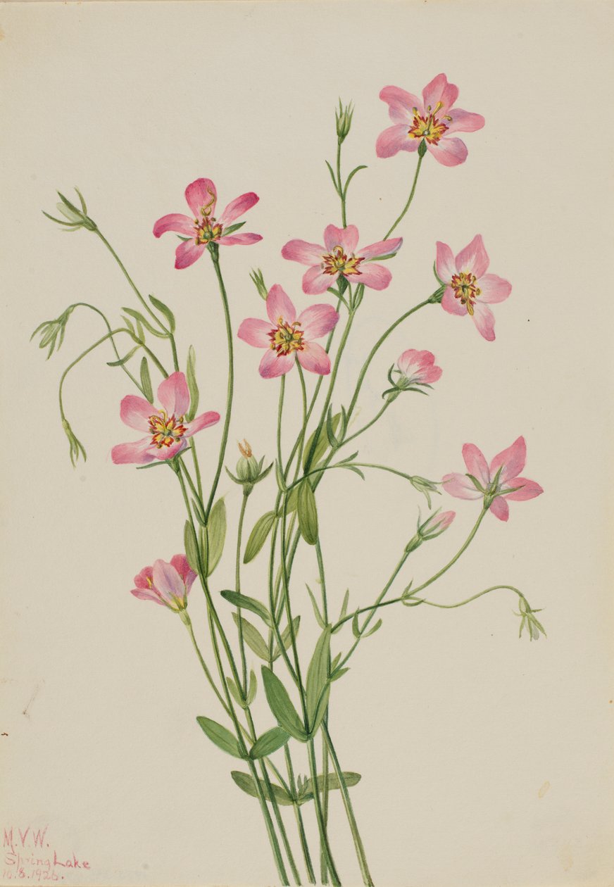  av Mary Vaux Walcott