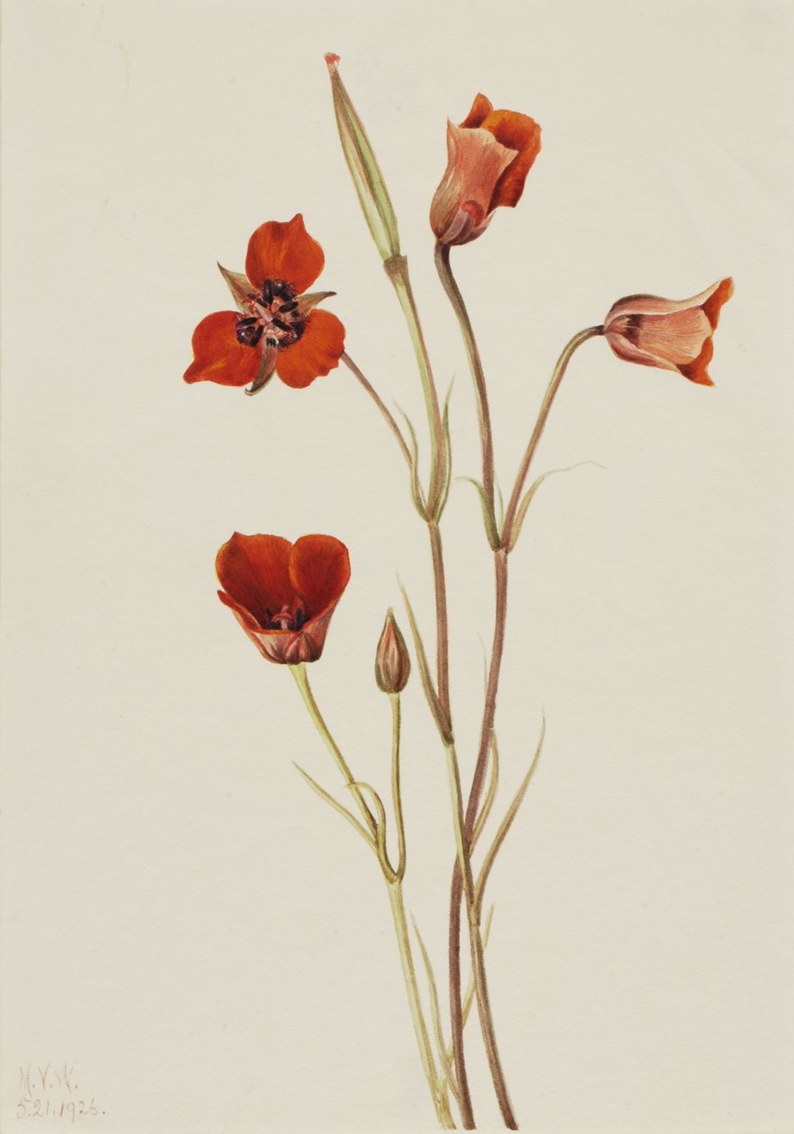 av Mary Vaux Walcott