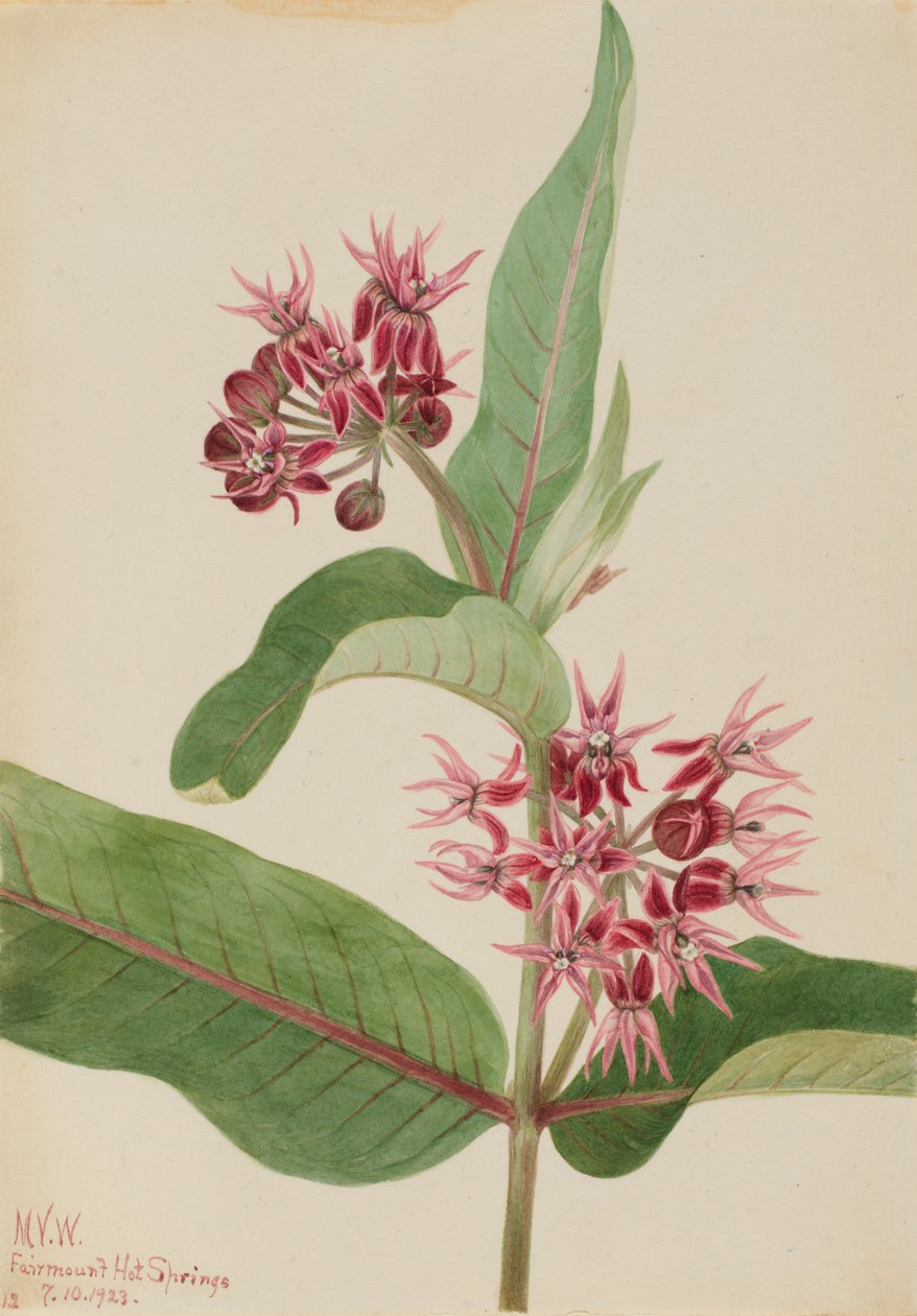  av Mary Vaux Walcott