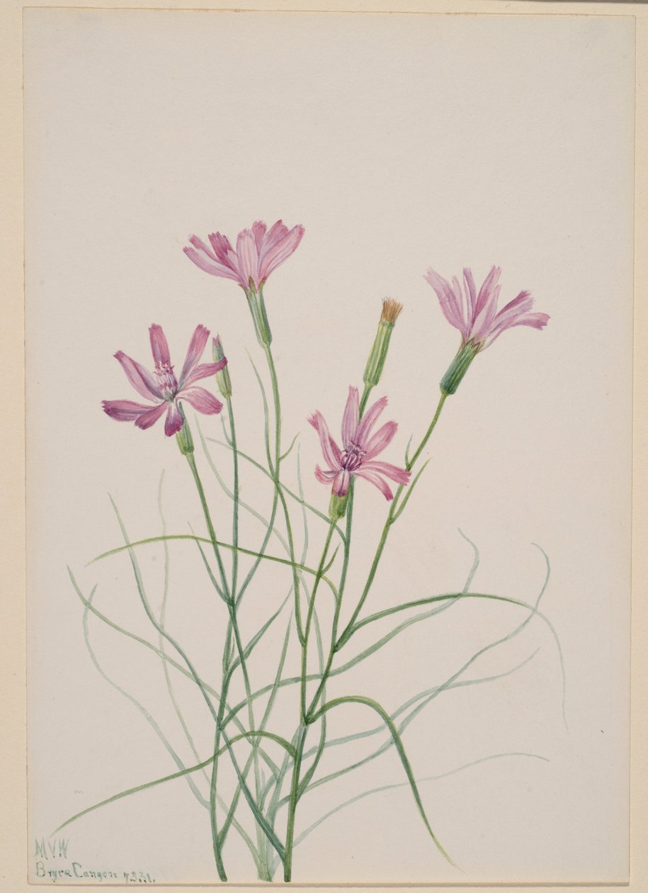  av Mary Vaux Walcott