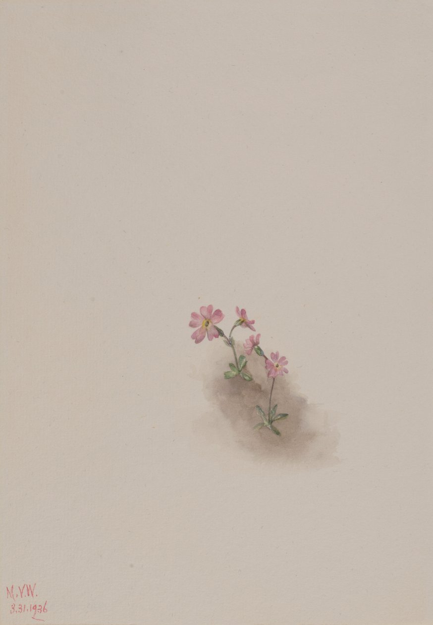  av Mary Vaux Walcott