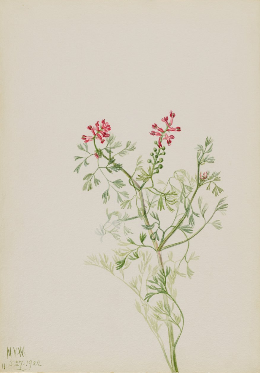  av Mary Vaux Walcott